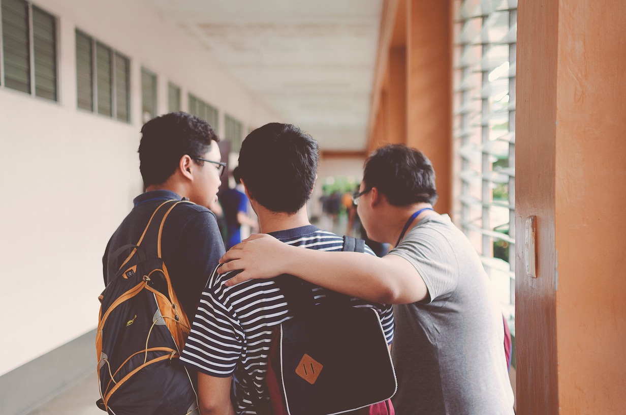 How do we combat school bullying in Sector 1?