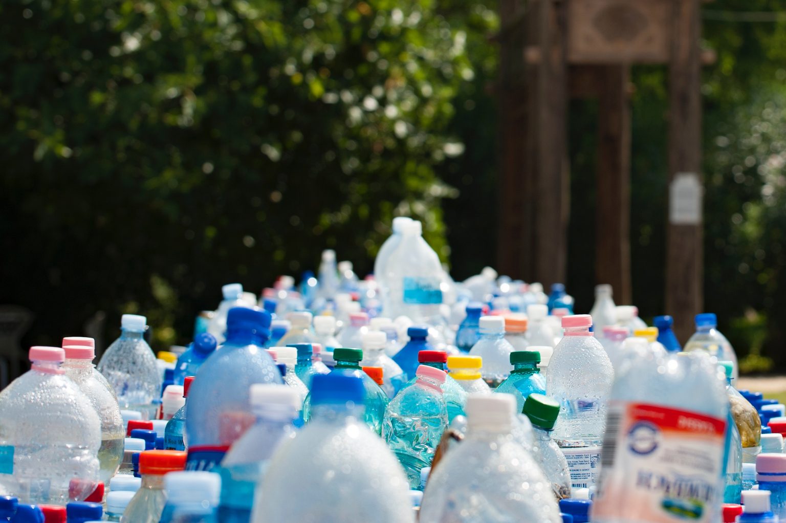 How is separate waste collection managed in Bacau?