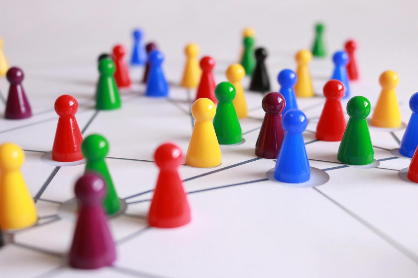 The role of NGOs in the development of life in Bucharest
