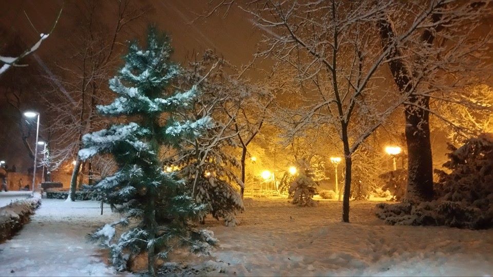 parcul eminescu arad iarna