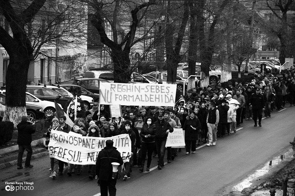 sebes florian-rares tileaga 1