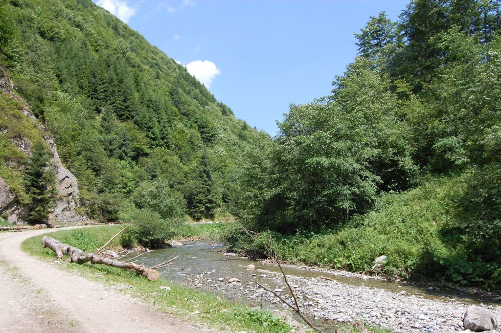 UBI albie Buda River inainte instalat conducte in zona amonte 800 m punct Leuca