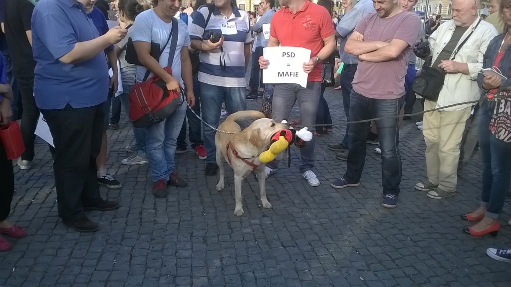 mickey mouse ponta 1