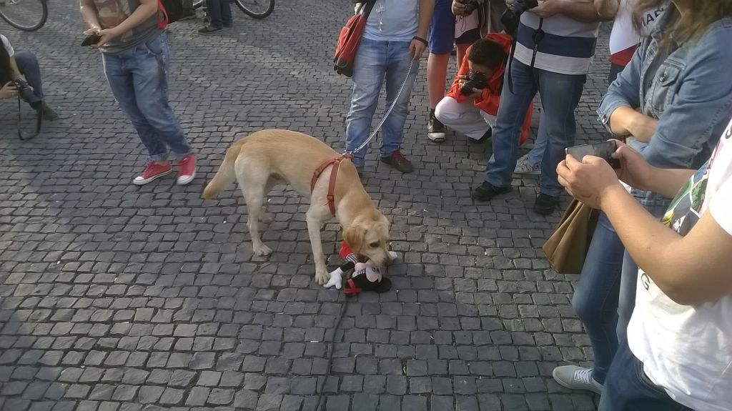 mickey mouse ponta 2