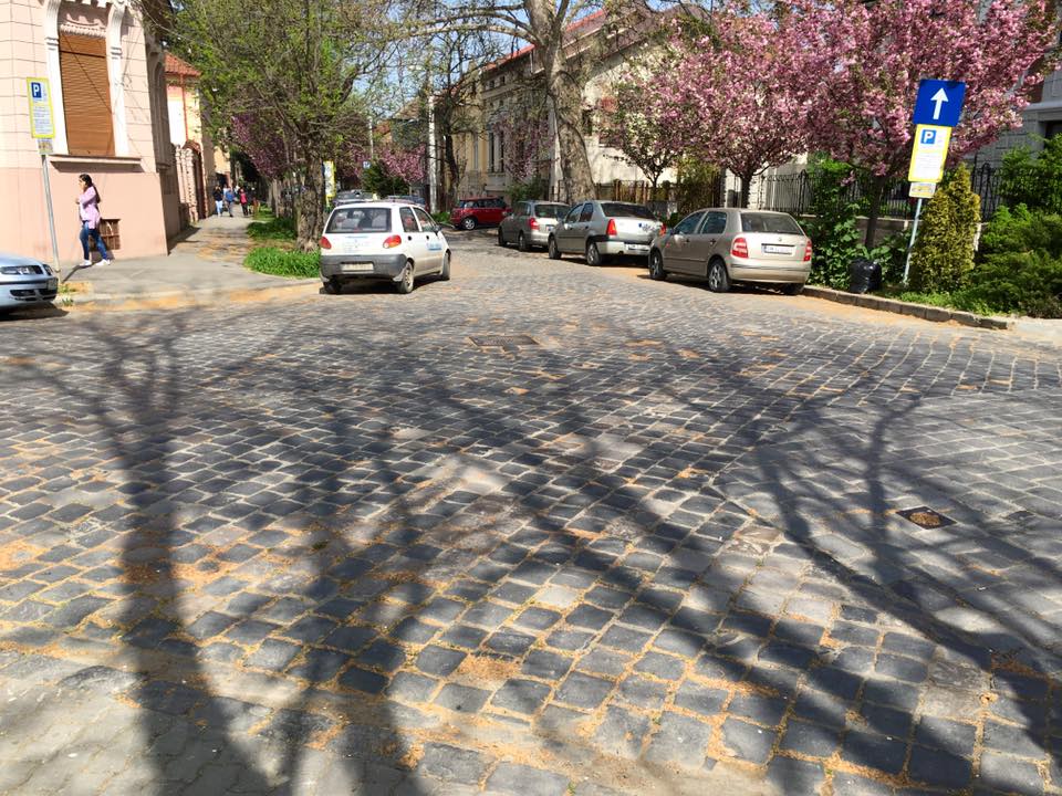 pavate timisoara 1
