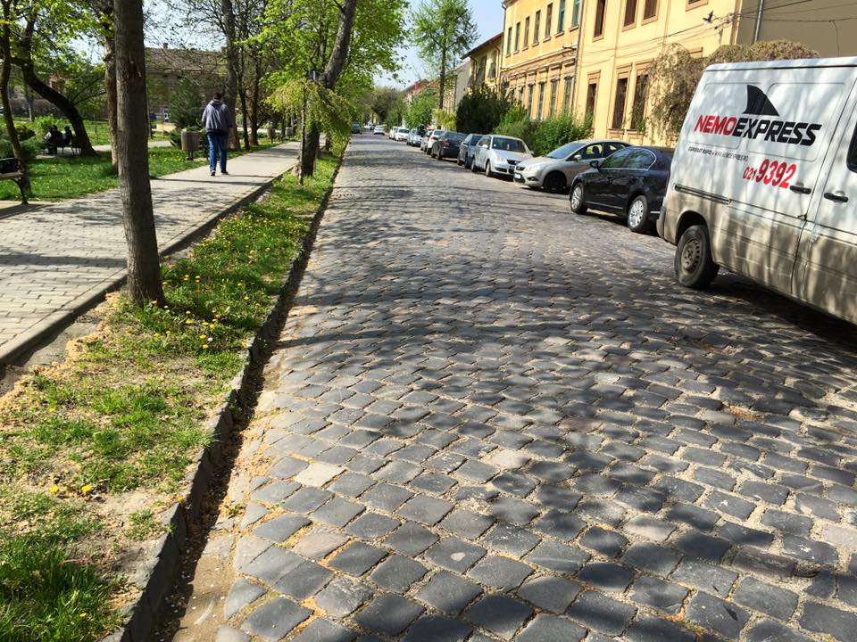 pavate timisoara 2
