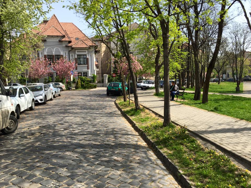 pavate timisoara 3