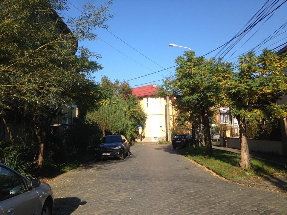 pavate timisoara 4