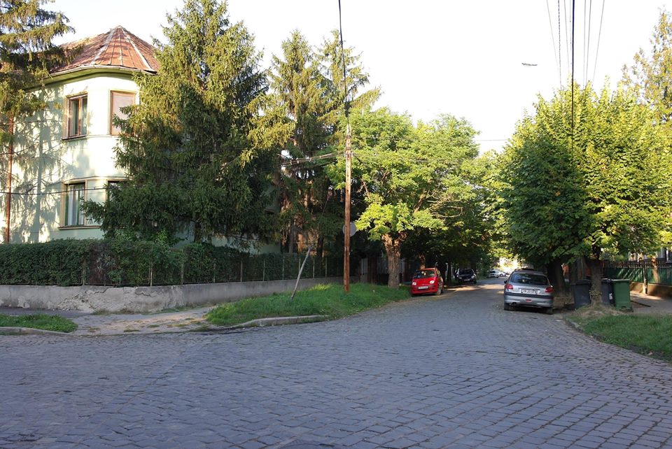 pavate timisoara 5