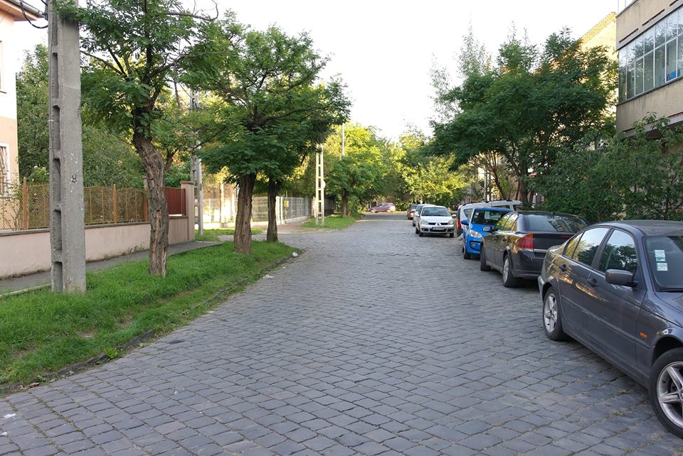 pavate timisoara 7