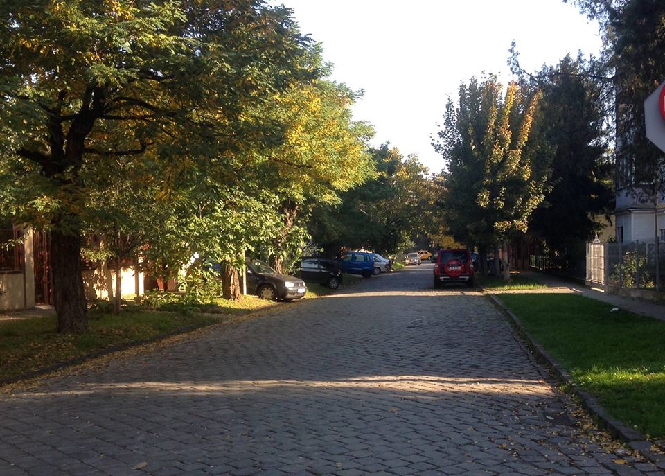 pavate timisoara 8