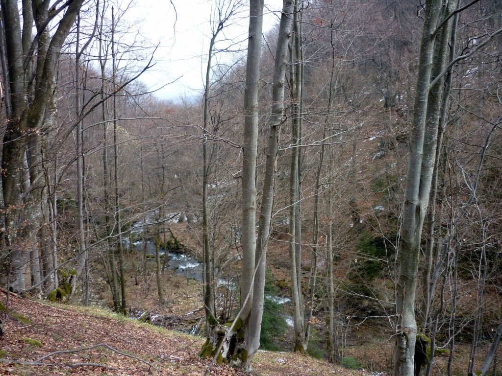 arii-protejate-2