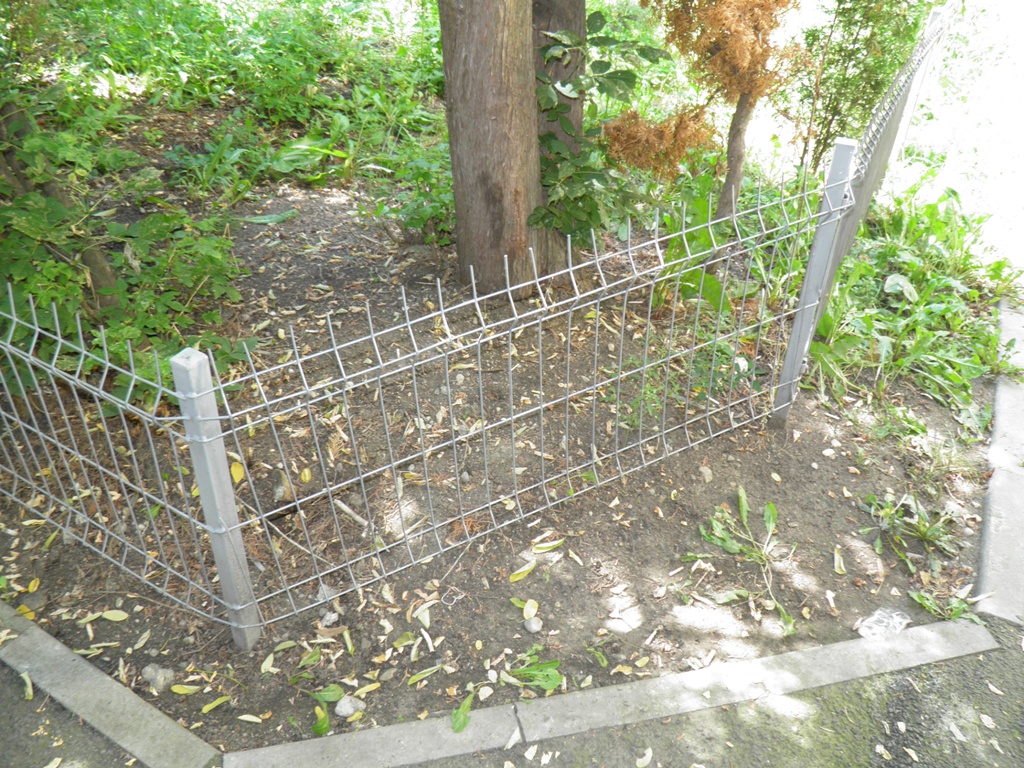 Verde, dar la ce preț! Tu ai plăti 10.000 de dolari pe gărdulețul de sârmă din imagine?