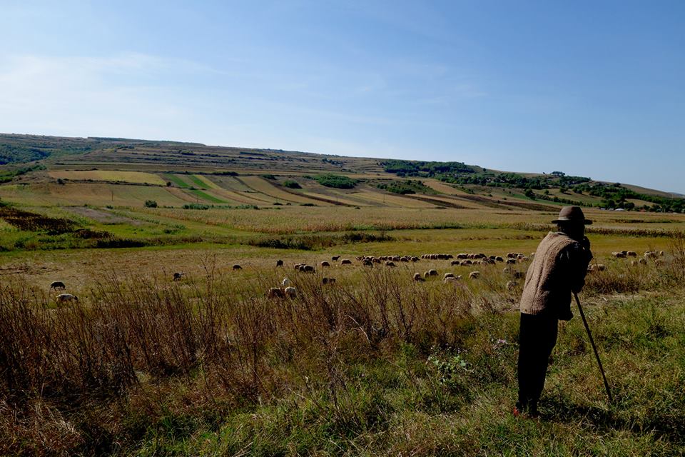 ”Totul e clar, fracturăm pe un dolar!” ManiFEST, primul festival anti-fracking din România: mărturii, înregistrări VIDEO și galerie FOTO