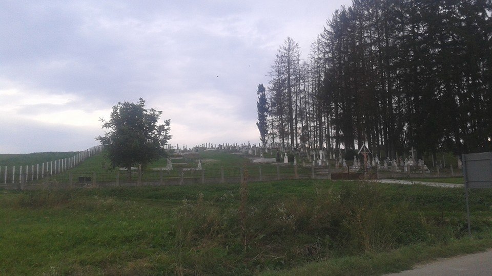 ”Am fost claxonat pe ritmul bătăilor în bidoane de la proteste”. 3.000 de km pe jos către Parlamentul European. Jurnal și galerie FOTO