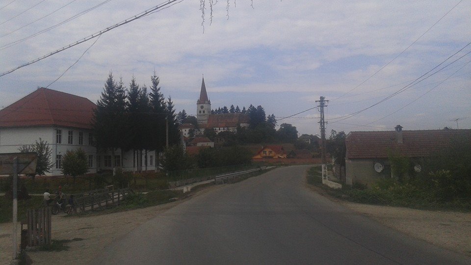 ”Am fost claxonat pe ritmul bătăilor în bidoane de la proteste”. 3.000 de km pe jos către Parlamentul European. Jurnal și galerie FOTO