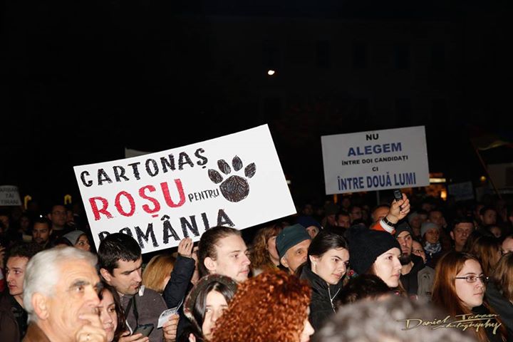 Vulcanul de la Cluj. Galerie FOTO cu protestul uriaș și cum au încercat pesediștii să-i provoace pe manifestanți cu o găină moartă