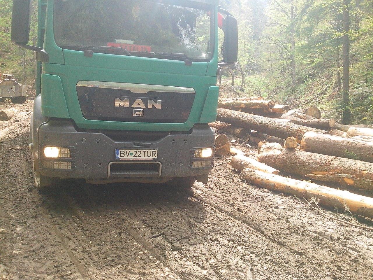 “Silvicultorii anonimi” extrag 40.000 de mc de lemn din pădurile Braşovului. Dezastru în urma lor, pe traseele turistice (Galerie FOTO)