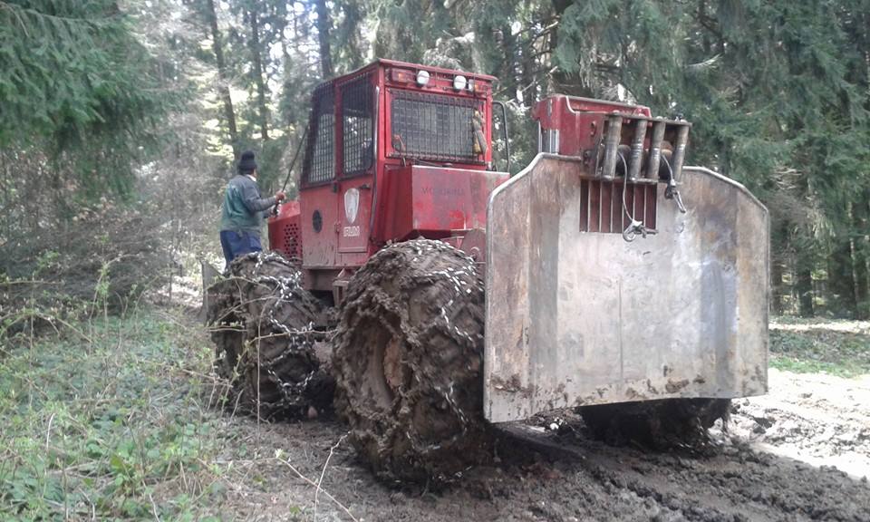 “Silvicultorii anonimi” extrag 40.000 de mc de lemn din pădurile Braşovului. Dezastru în urma lor, pe traseele turistice (Galerie FOTO)