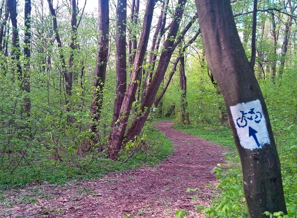 Primul traseu cicloturistic în zona Miroslava – Iași se deschide astăzi. Peste 400 de persoane și-au anunțat participarea