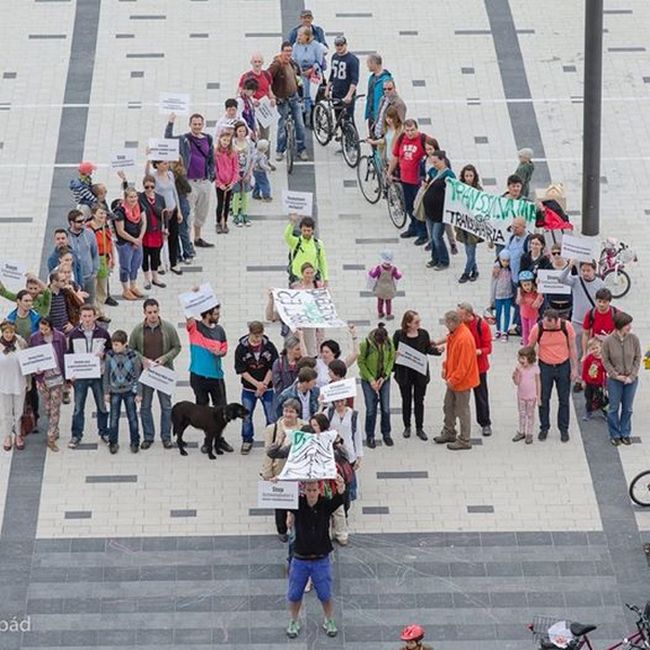 „Stop Schweighofer!”. Un “brad uman” la Miercurea Ciuc, pentru a protesta împotriva defrişărilor