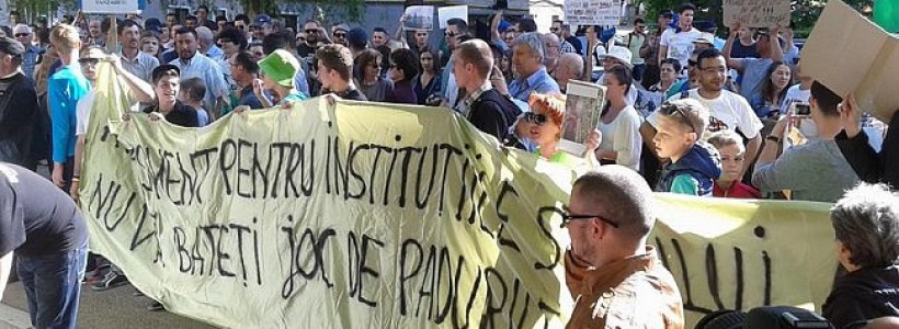 “Nu vă bateţi joc de pădurile noastre”. Suceava, al doilea protest împotriva tăierilor ilegale de pădure