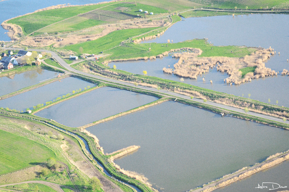 În rezervaţia naturală „Delta din Carpați” a fost amenajat ilegal un lac. Cel care l-a făcut se laudă că legea nu îl poate atinge