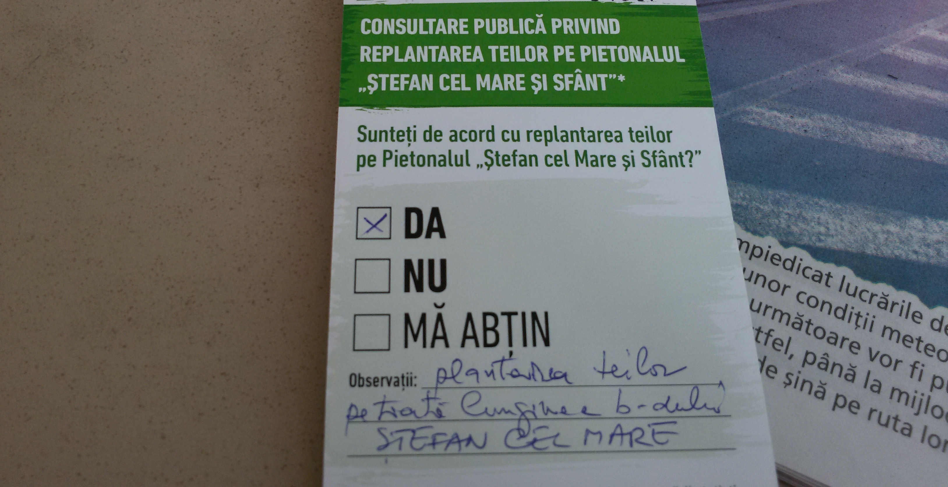 A început la Iași consultarea publică privind replantarea teilor tăiați de Primărie în 2013. Apel către ieșeni