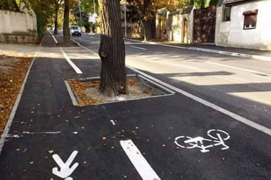 Bicicliști din toate țările, uimiți-vă! Cea mai ”verde” pistă din Europa se află în România! (FOTO)