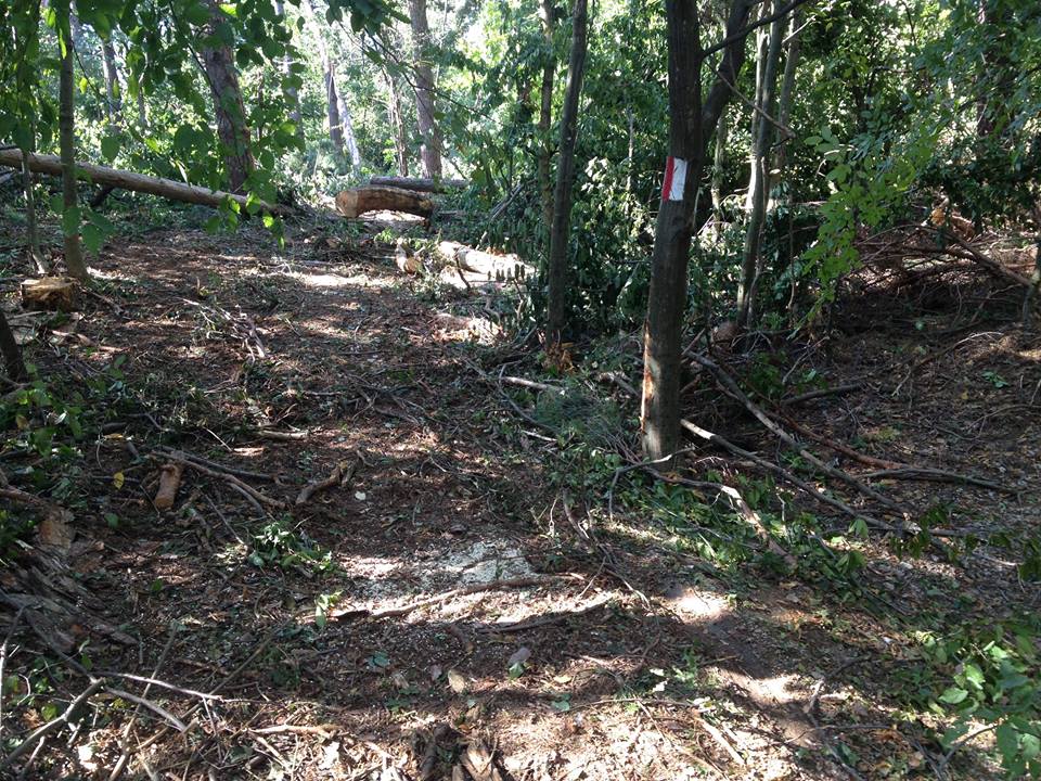 După ce a stârnit iritarea publică, firma care a distrus o parte din traseul de biciclete care leagă satele săseşti din Transilvania promite că-l va reface pe cheltuiala proprie