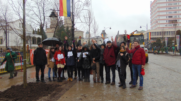 Un an de la replantarea teilor