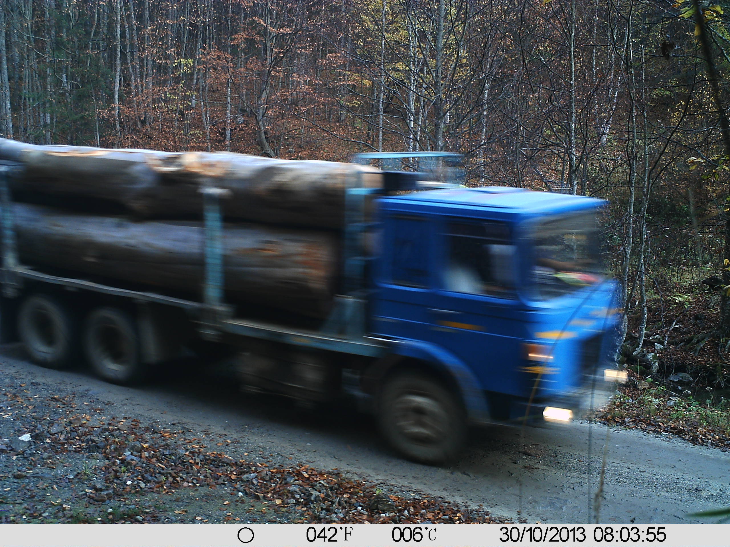 EXCLUSIV: Cum trimite Romsilva la tăiere păduri virgine vizibile din satelit (Galerie FOTO)