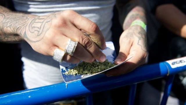 Iarba de la Amsterdam e preferată în faţa DNA-ului românesc