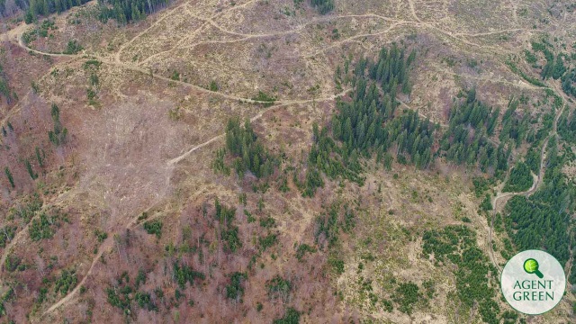 Agent Green: Scrisoare deschisă cu privire la situația parcurilor naționale