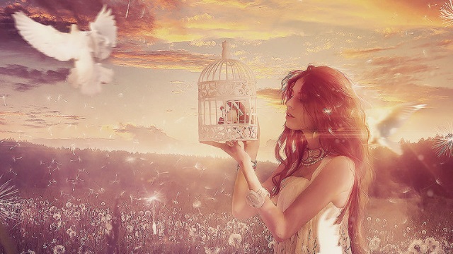 Parlamentul întărește prezumția de nevinovăție instituind prezumția de vinovăție