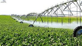 Nume familiare și clientelă politică în topul achizițiilor publice (7-13 octombrie 2019)