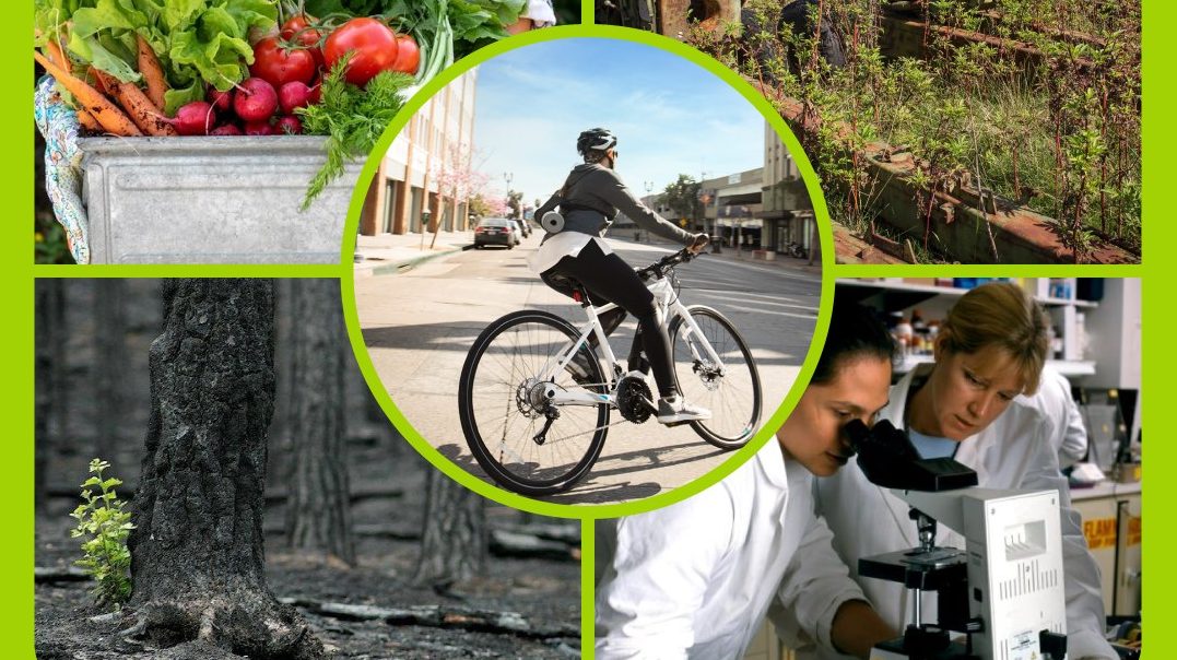 5 învățăminte din coronavirus