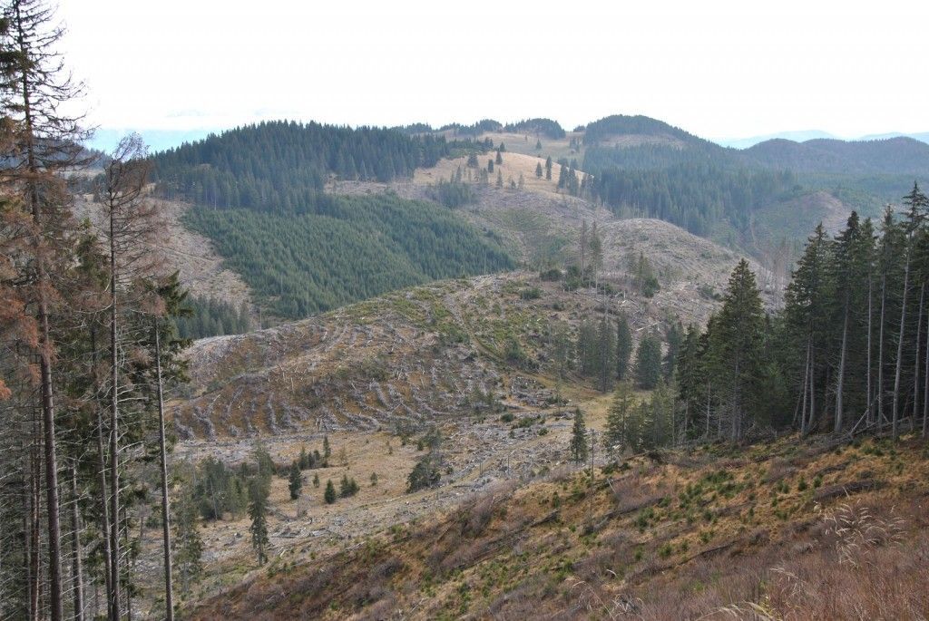 FOTO: TERENURI DE GOLF identificate în România…