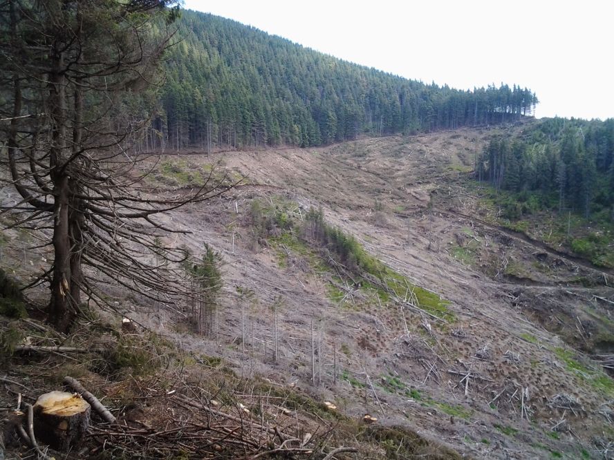 FOTO: TERENURI DE GOLF identificate în România…