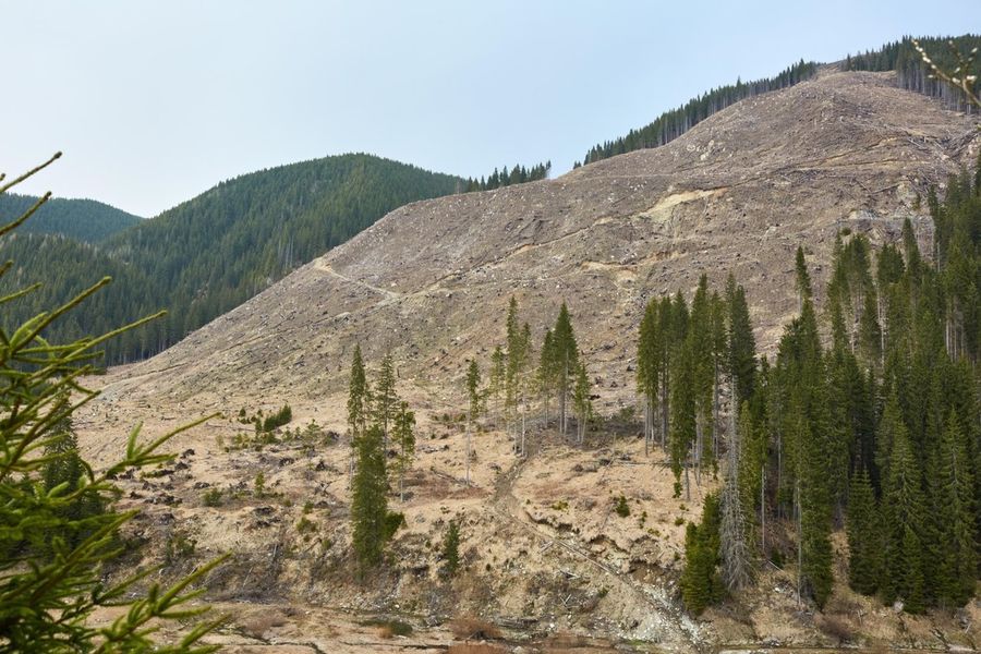 FOTO: TERENURI DE GOLF identificate în România…