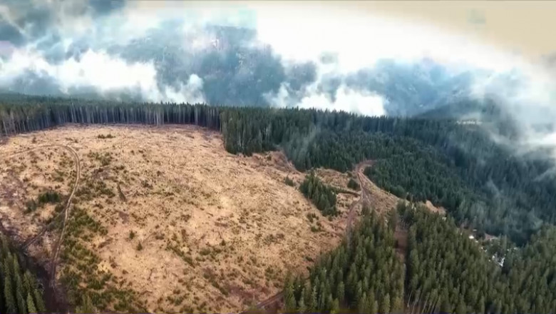 FOTO: TERENURI DE GOLF identificate în România…