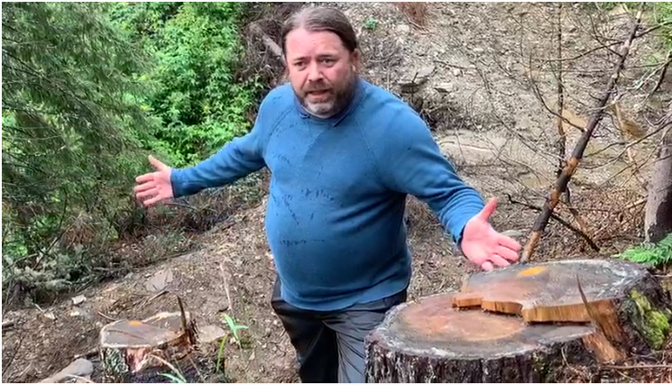 EURONEWS. Dezastrul din pădurile României. Europarlamentarii au venit să vadă distrugerile cu ochii lor (VIDEO)
