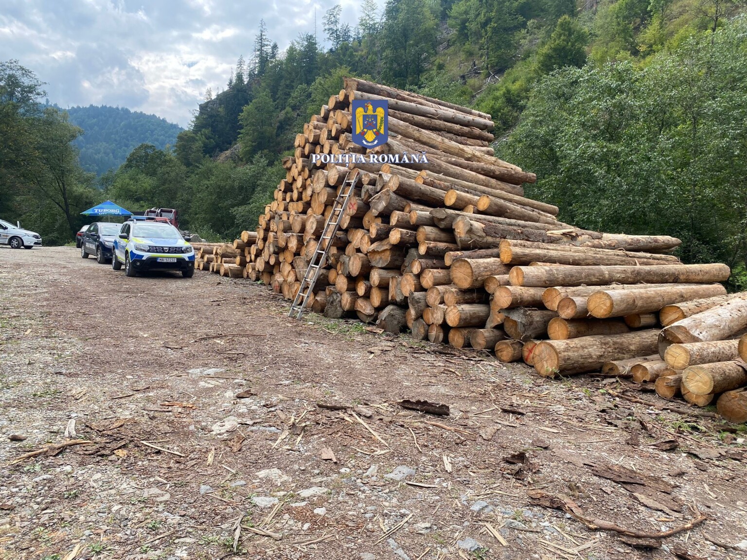 LOVITURĂ: camion de 40.000 de euro confiscat de la Mafia Lemnului și dosare penale, în urma dezvăluirilor civice. De-asta vor să ne interzică să intrăm în păduri!