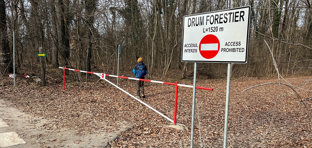 Deschiderea circulației auto publice a unui drum forestier prin Pădurea Băneasa, contra unei așa-zise taxe de peisaj, a revoltat zeci de organizații civice. Foto: Asociația Parcul Natural Văcărești