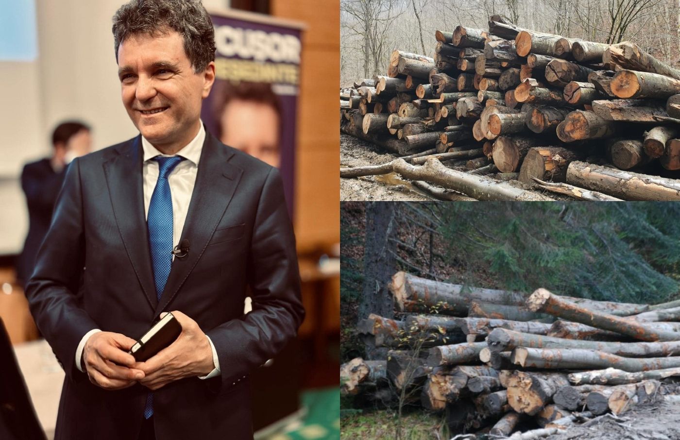 Nicușor Dan susține înființarea unei structuri specializare în lupta cu Mafia Lemnului. Foto: colaj România Curată