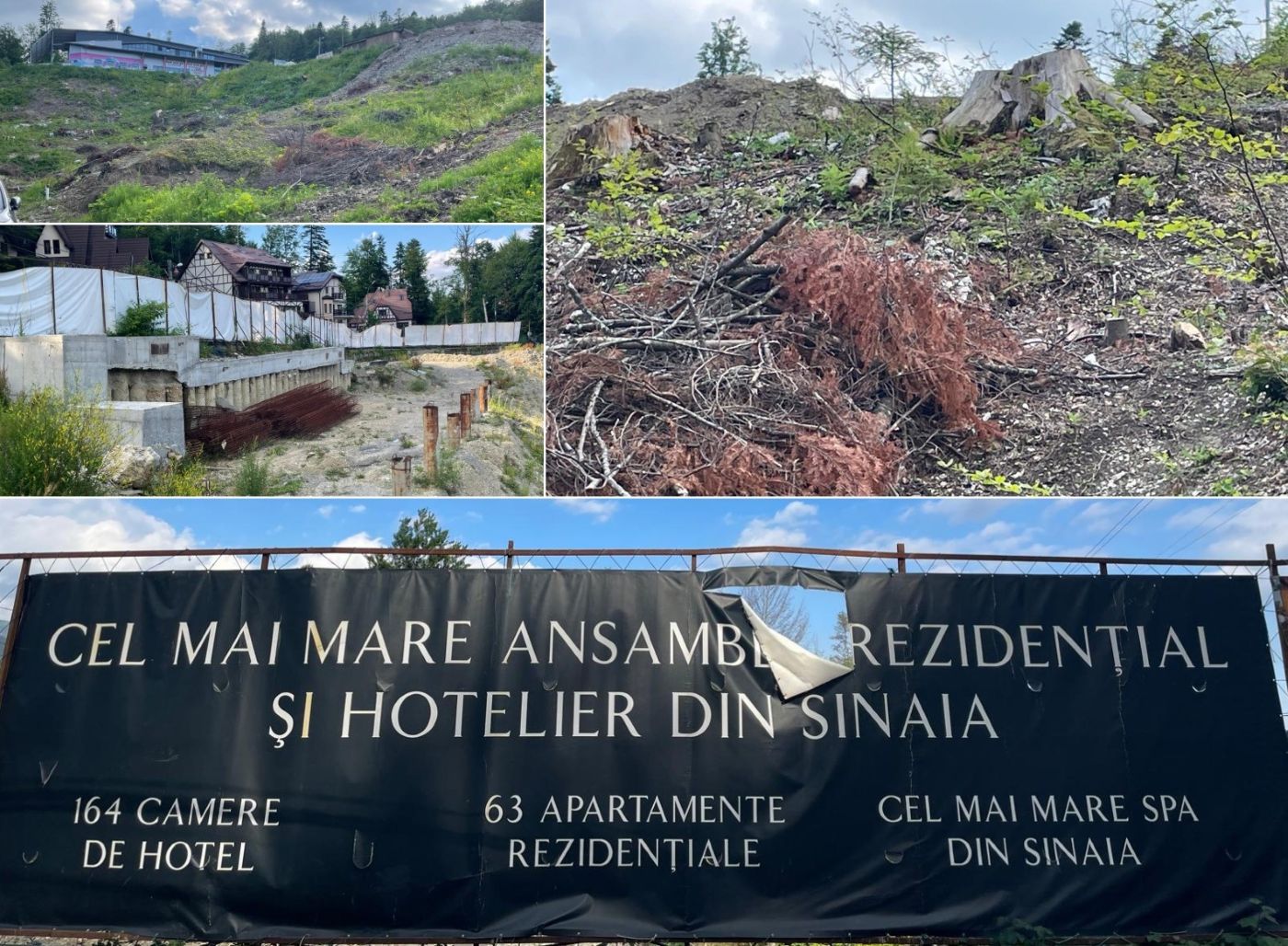 Proiectul Nordis a defrișat un deal și a lăsat în urmă un teren viran