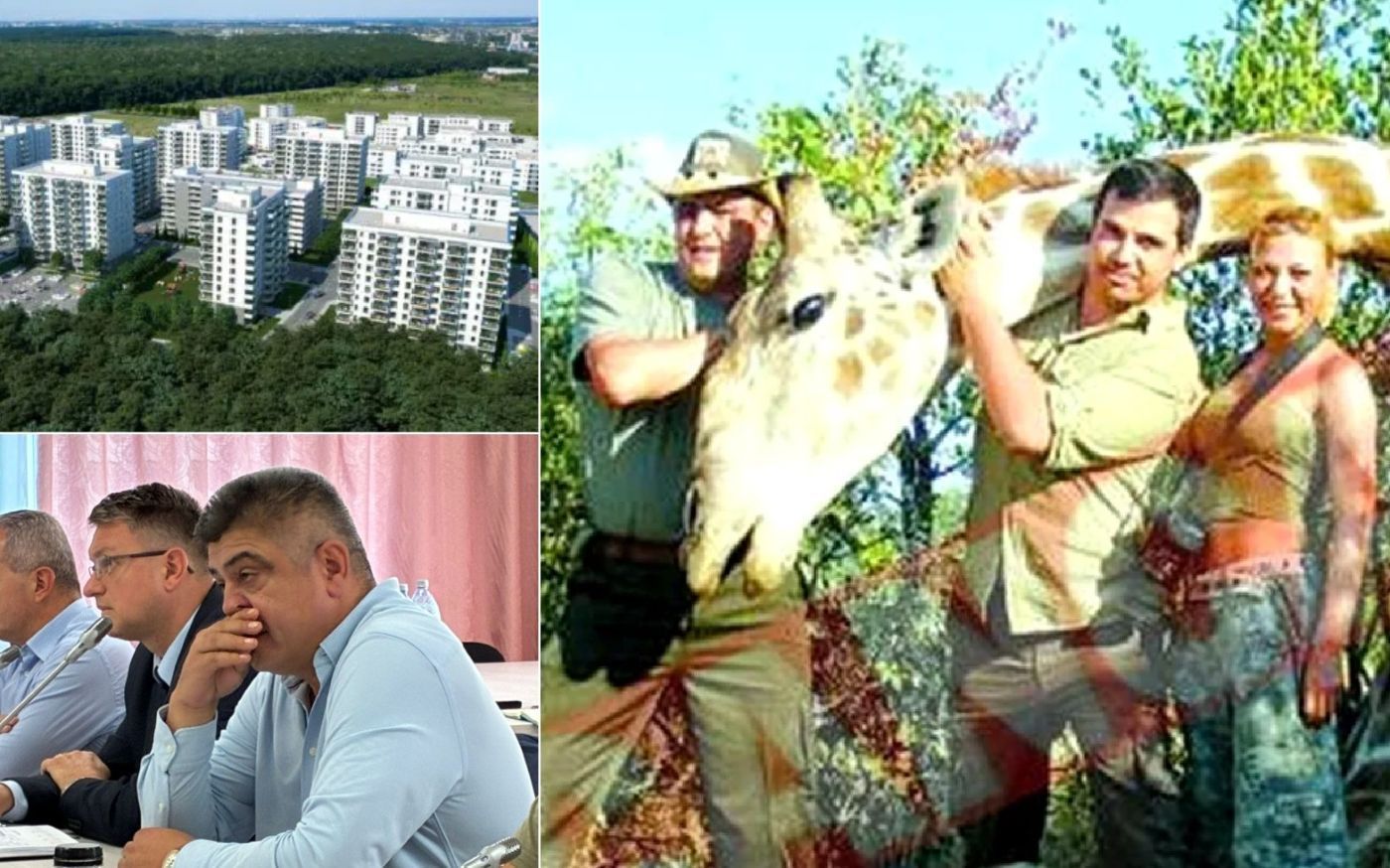 Cezar Răduță și Theodor Chiriac, directori în Romsilva și parteneri de împușcat girafe prin Africa