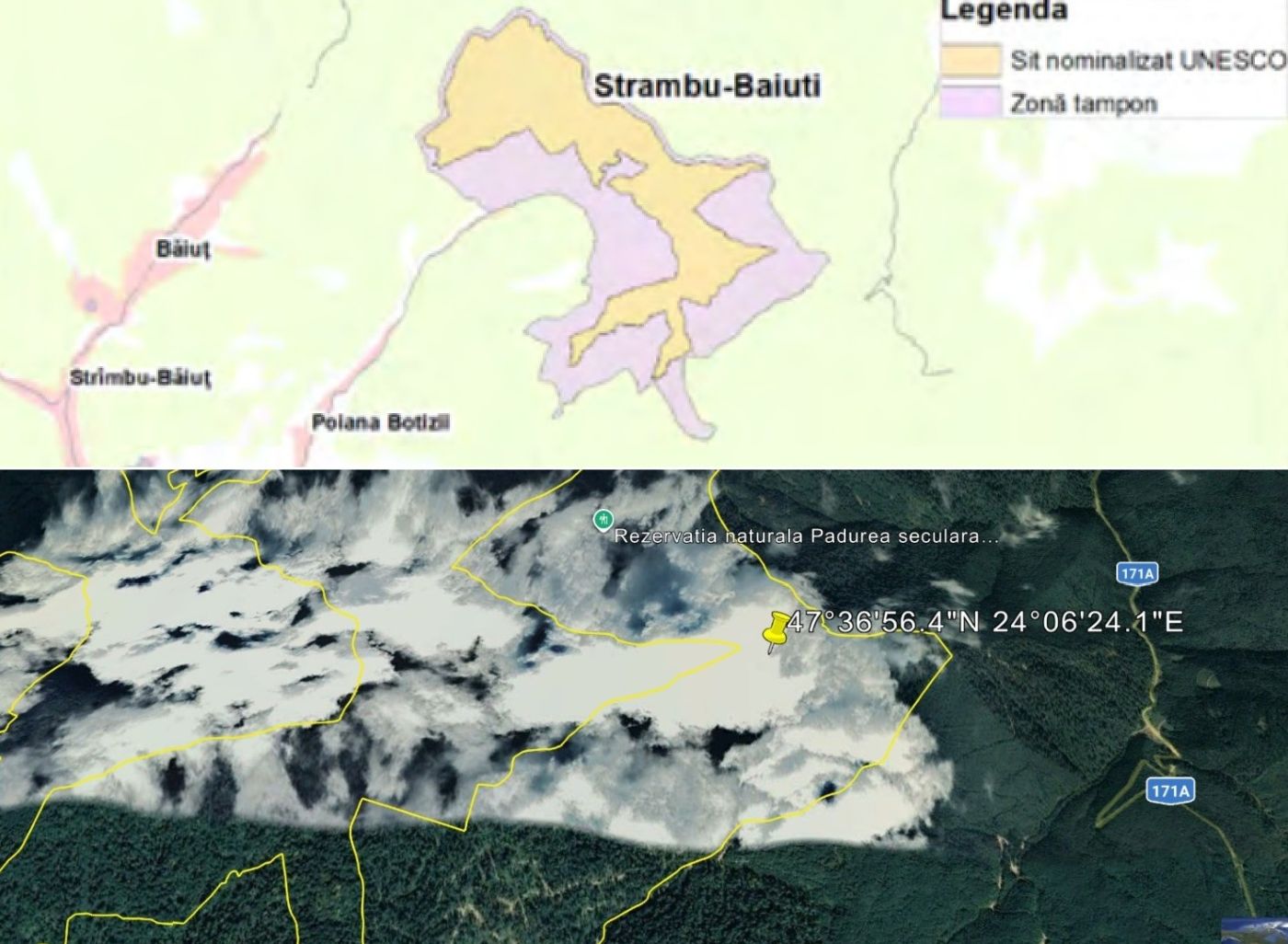 Harți Codrii Seculari de la Strâmbu Băiuț (Maramureș), incluși în UNESCO
