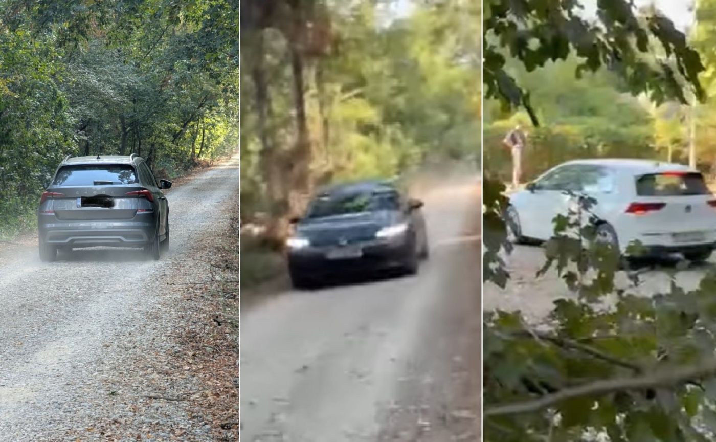 Mașini pe drumul forestier deschis ilegal în Pădurea Băneasa