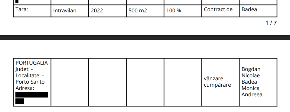 Declarație de avere, Bogdan Badea, director general Hidroelectrica